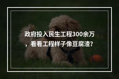 政府投入民生工程300余万，看看工程样子像豆腐渣？
