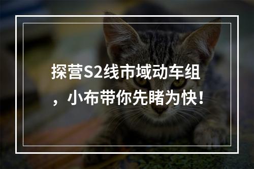 探营S2线市域动车组，小布带你先睹为快！