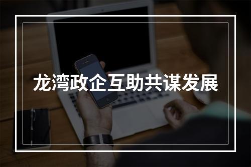 龙湾政企互助共谋发展
