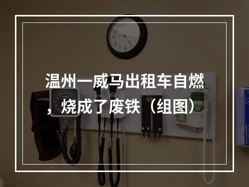 温州一威马出租车自燃，烧成了废铁（组图）