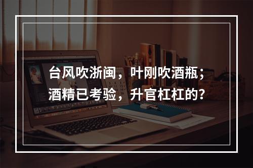 台风吹浙闽，叶刚吹酒瓶；酒精已考验，升官杠杠的？