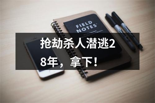 抢劫杀人潜逃28年，拿下！