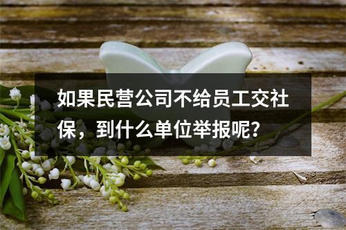 如果民营公司不给员工交社保，到什么单位举报呢？