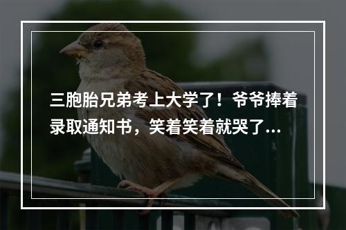 三胞胎兄弟考上大学了！爷爷捧着录取通知书，笑着笑着就哭了…
