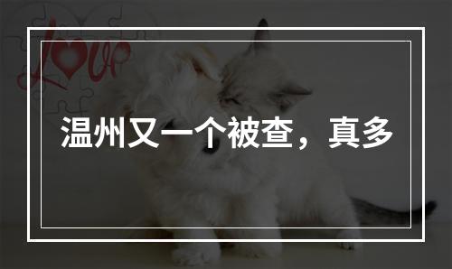 温州又一个被查，真多