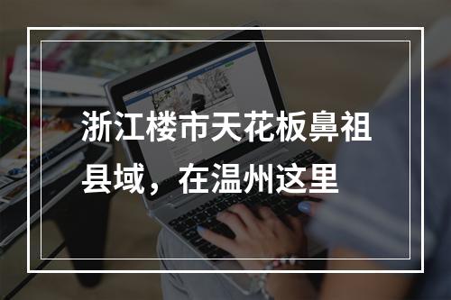 浙江楼市天花板鼻祖县域，在温州这里