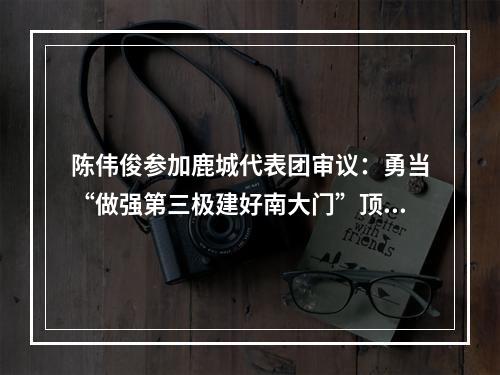 陈伟俊参加鹿城代表团审议：勇当“做强第三极建好南大门”顶梁柱