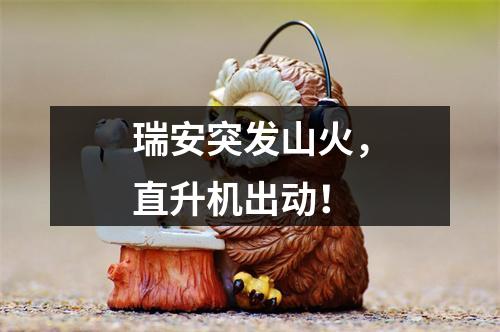 瑞安突发山火，直升机出动！