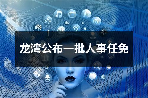 龙湾公布一批人事任免