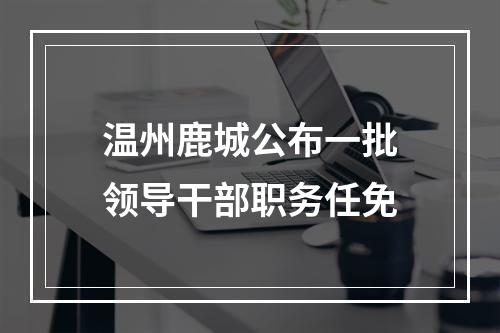 温州鹿城公布一批领导干部职务任免