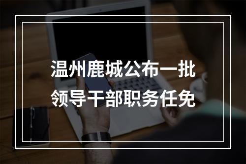 温州鹿城公布一批领导干部职务任免
