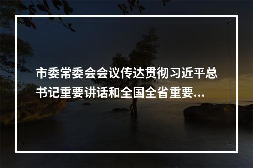 市委常委会会议传达贯彻习近平总书记重要讲话和全国全省重要会议精神