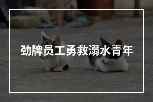 劲牌员工勇救溺水青年