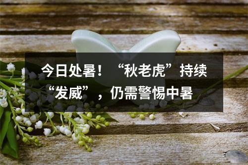 今日处暑！“秋老虎”持续“发威”，仍需警惕中暑