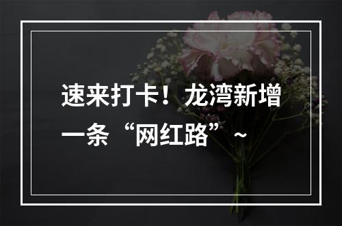 速来打卡！龙湾新增一条“网红路”~