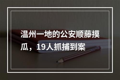 温州一地的公安顺藤摸瓜，19人抓捕到案