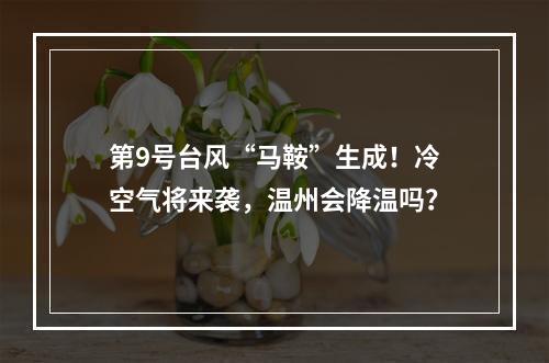 第9号台风“马鞍”生成！冷空气将来袭，温州会降温吗？