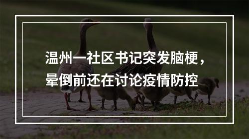 温州一社区书记突发脑梗，晕倒前还在讨论疫情防控