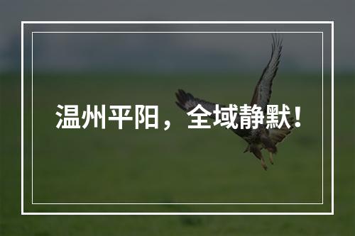 温州平阳，全域静默！