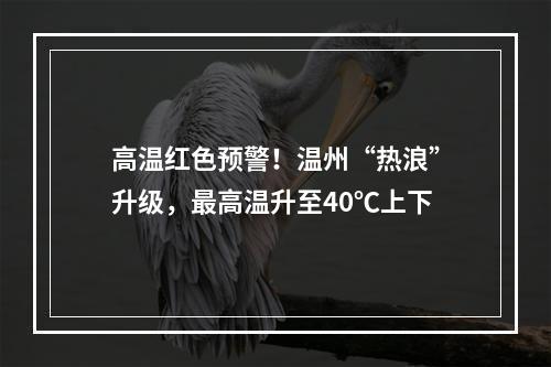 高温红色预警！温州“热浪”升级，最高温升至40℃上下