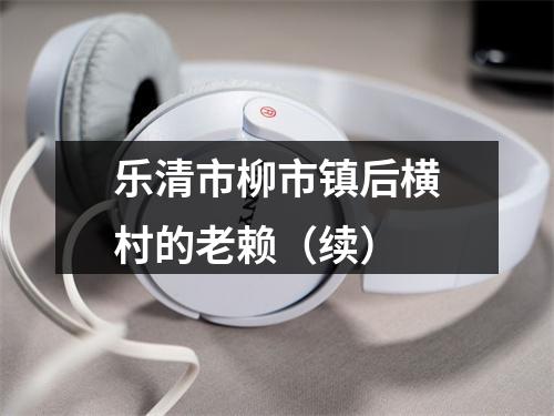 乐清市柳市镇后横村的老赖（续）