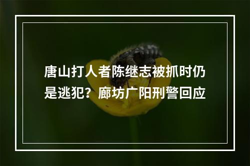 唐山打人者陈继志被抓时仍是逃犯？廊坊广阳刑警回应