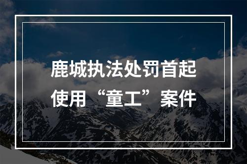 鹿城执法处罚首起使用“童工”案件