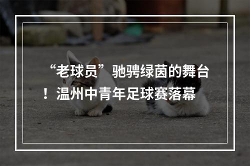 “老球员”驰骋绿茵的舞台！温州中青年足球赛落幕