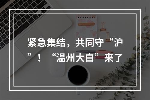 紧急集结，共同守“沪”！“温州大白”来了