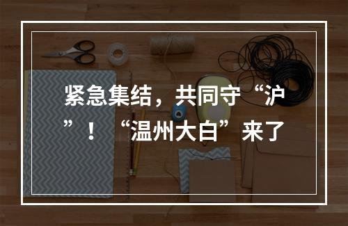 紧急集结，共同守“沪”！“温州大白”来了