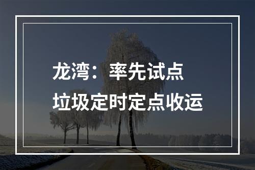 龙湾：率先试点 垃圾定时定点收运