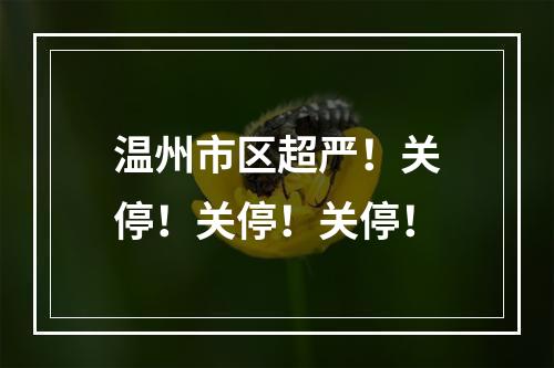 温州市区超严！关停！关停！关停！