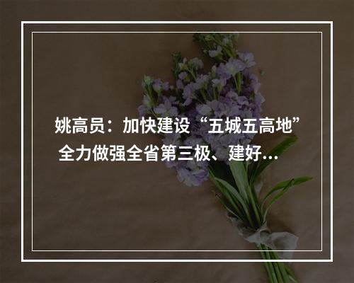 姚高员：加快建设“五城五高地” 全力做强全省第三极、建好长三角南大门