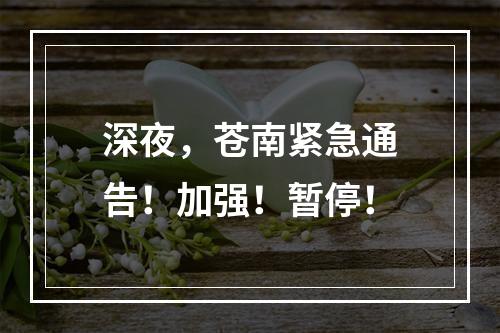 深夜，苍南紧急通告！加强！暂停！