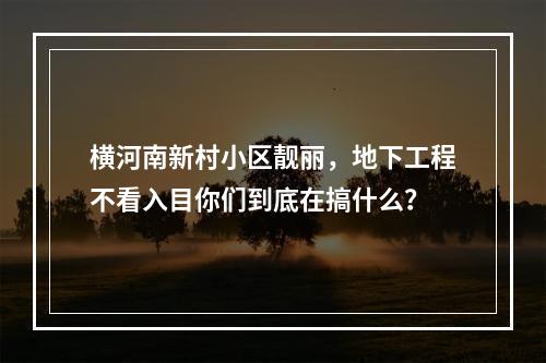 横河南新村小区靓丽，地下工程不看入目你们到底在搞什么？