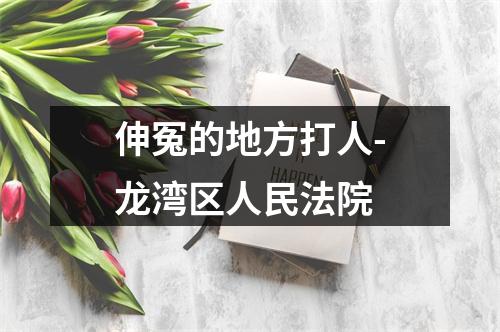 伸冤的地方打人-龙湾区人民法院