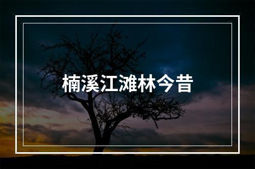 楠溪江滩林今昔