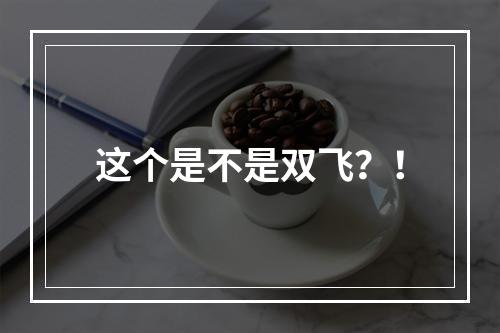 这个是不是双飞？！