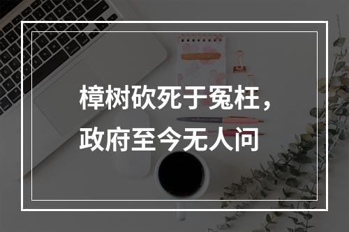 樟树砍死于冤枉，政府至今无人问