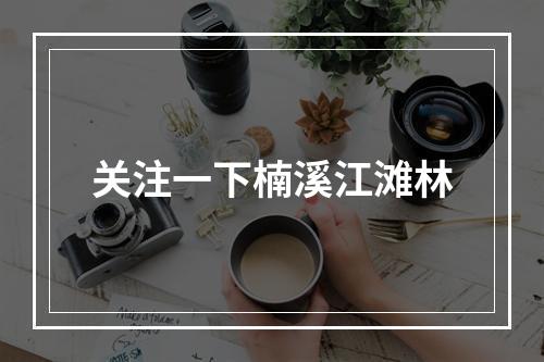 关注一下楠溪江滩林