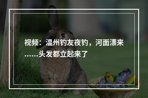 视频：温州钓友夜钓，河面漂来......头发都立起来了