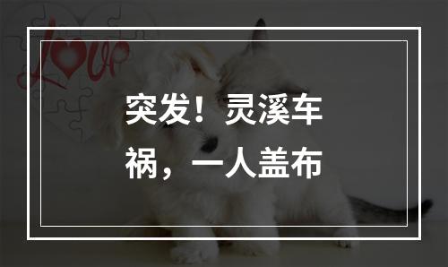 突发！灵溪车祸，一人盖布