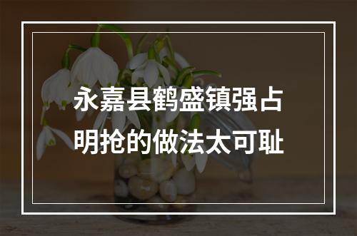 永嘉县鹤盛镇强占明抢的做法太可耻
