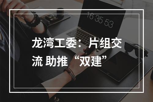 龙湾工委：片组交流 助推“双建”