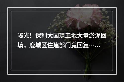 曝光！保利大国璟工地大量淤泥回填，鹿城区住建部门竟回复……