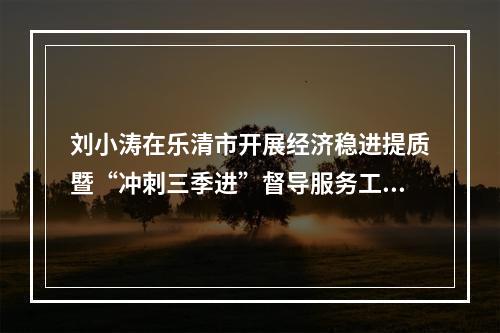 刘小涛在乐清市开展经济稳进提质暨“冲刺三季进”督导服务工作