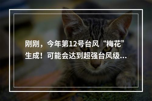 刚刚，今年第12号台风“梅花”生成！可能会达到超强台风级，未来路径变数大
