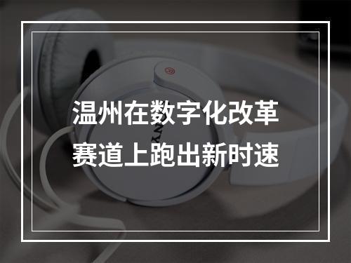 温州在数字化改革赛道上跑出新时速