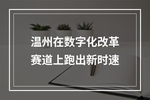 温州在数字化改革赛道上跑出新时速
