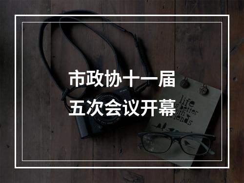 市政协十一届五次会议开幕